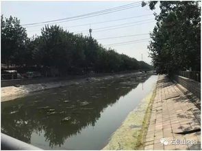 五、 水渠侧旁埋葬引发湿气渗透
