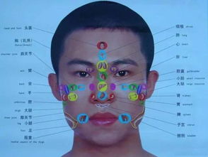 面部气色与脏腑健康的理论关联及深度解析