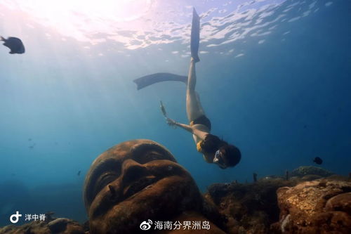 ：美人鱼歌声与较深海宫殿之谜的更