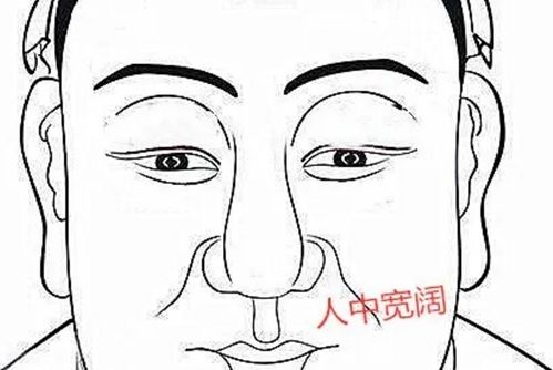 四、 创立力与创崭新能力之差别