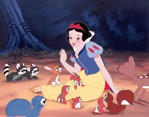 一、 探究背景及对象概述