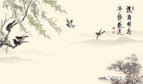 风水哲学中“欲速不达”的深层意蕴