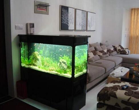 四、  养护细节及其他注意事项