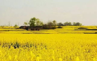 五、 那些让你崩溃又想笑的事