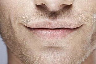 ：面相学与情感倾向的关联性