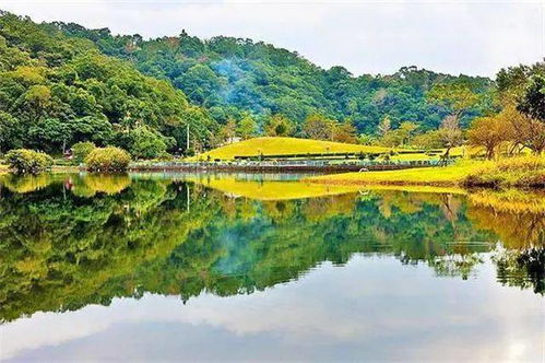热门景点3：龙潭湖——雾气与神秘