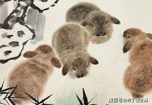 猴（属猴）