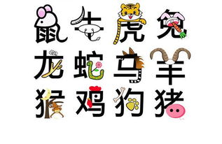 50亿年和5亿年分别对应哪个生肖？