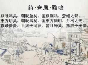 ：起名字这事儿，咱就得来点儿不一样的