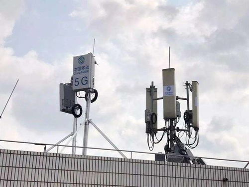 2026年5月有哪些吉日适合除尘，哪一天是五月最佳吉日呢？