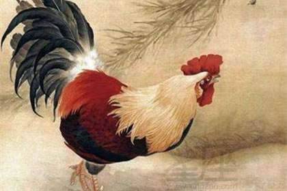 职场发展与财富积累