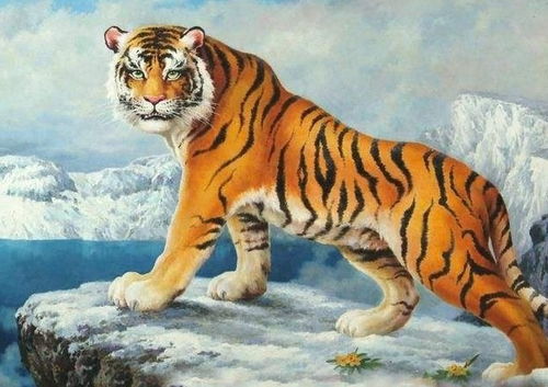 威风凛凛的生肖是哪个？今晚9点半最适合的生肖是什么？