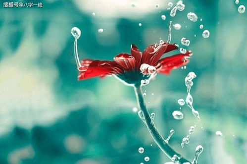 八字能看透内心，改写人生八字，如何揭示一个人内心深处的真实感悟？