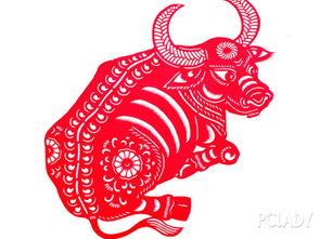 非同小可是什么生肖？打一生肖动物，难道不是龙吗？