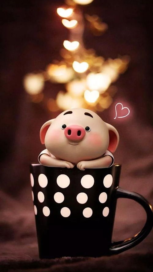 2026年属猪人每月运势具体分析是怎样的？