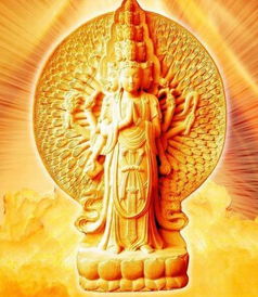 一、 中年人阶段——财富有聚集的必然趋势及其普遍规律