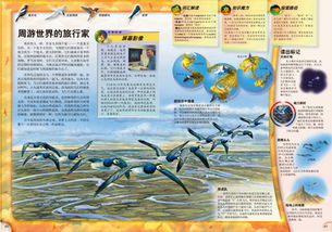 针对不同读者群体的差异化策略