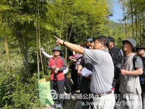 广东有哪些著名的风水宝地，可以称为十大名地？