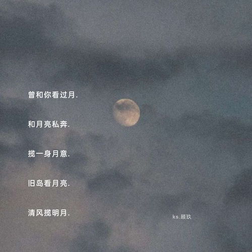 一、 月亮女孩：不止是名字