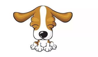 属火兔男生性格特点如何，适合送什么生日礼物给男生？