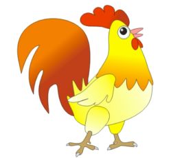 如何化解属鸡太岁的吉凶影响？