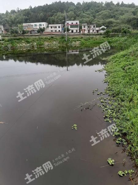 环境描写：魔幻现实主义现场