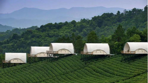 26年属狗的人8月份入宅吉日和乔迁吉日分别是哪一天？