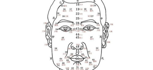 地阁方圆与鼻头有肉：财富与不动产的象征