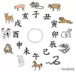 综合评述及对今后趋势的展望