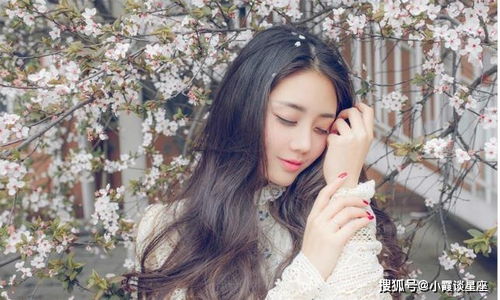 一、  生肖星座视域下的性格原型与昵称构建