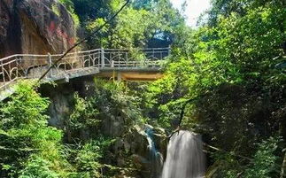 清泉水库生态景区：茶文化+水库=？？