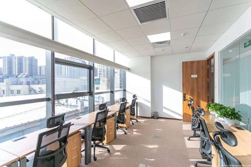 属龙人办公室座位风水如何调整才能让办公桌风水更旺？