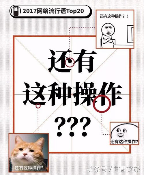 网络流行语，  紧跟潮流