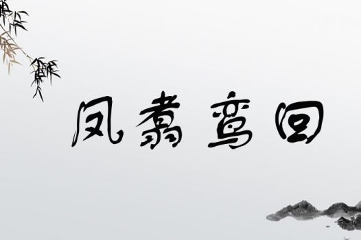 给凤取名是吉祥还是凶险？名字中带有凤字是否适宜？