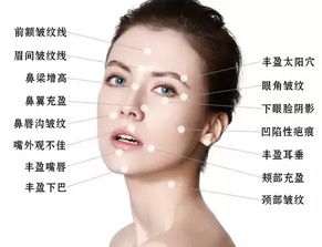 ：面相学作为传统智慧的文化阐释