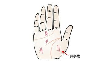 一、 水星丘上的田字纹：财富的获取与守成