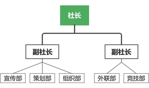 组织结构与成员构成