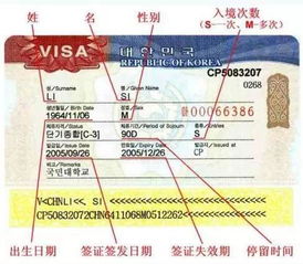 俄罗斯签证真相大揭秘：官方要求 vs 现实操作