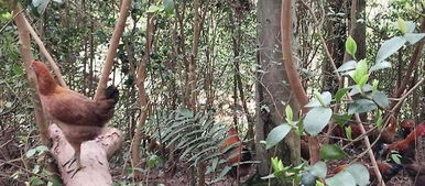 二、  设施建设与环境营造的物质基础