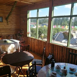 住宿与美食：森林小屋 vs 城市酒店…选择困难症爆发