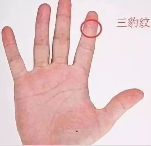 2. 食指与中指之间的缝隙——旺财型手相