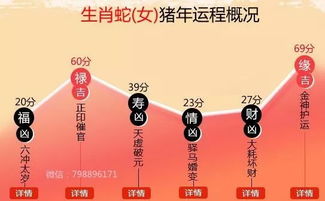 二、 2025年度逐月运程详解