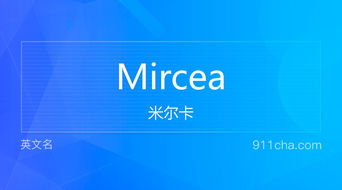 五、 性别适配度及文化辨识度评估