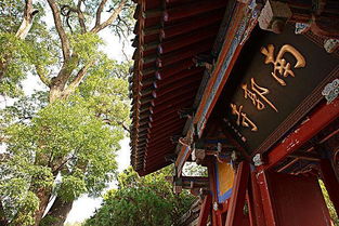 南郭寺：天水人真正的“后花园”，  免费到连电动车都能骑进去