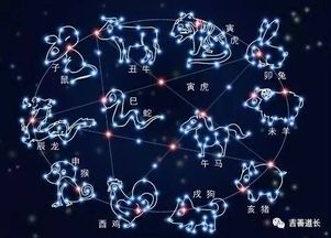 龙龙人的今日运势