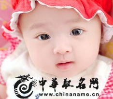 实用案例——鲁姓龙宝宝姓名较大全（较大杂烩）