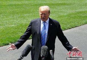 特朗普八字能否准确预示其成功连任美国总统？