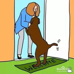 一、 奇葩谐音梗：挑战你的幽默感