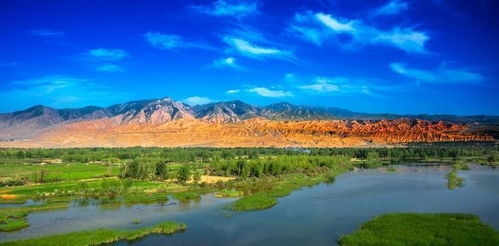 省钱歪门邪道第四招：APP比价累死人