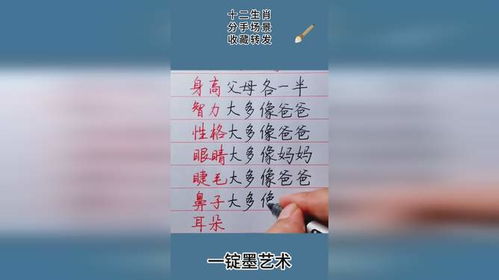 生肖网名：文化基因的传承与个性特质的彰显